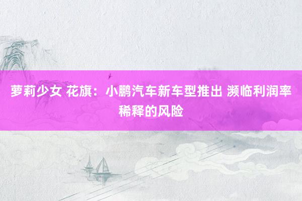 萝莉少女 花旗：小鹏汽车新车型推出 濒临利润率稀释的风险