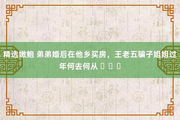 精选嫩鲍 弟弟婚后在他乡买房，王老五骗子姐姐过年何去何从 ​​​