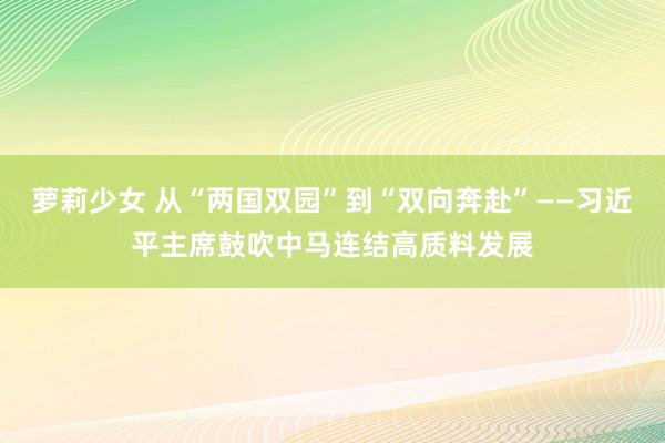 萝莉少女 从“两国双园”到“双向奔赴”——习近平主席鼓吹中马连结高质料发展