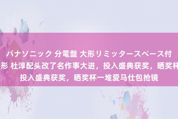 パナソニック 分電盤 大形リミッタースペース付 露出・半埋込両用形 杜淳配头改了名作事大进，投入盛典获奖，晒奖杯一堆爱马仕包抢镜