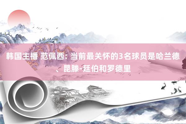 韩国主播 范佩西: 当前最关怀的3名球员是哈兰德、昆滕-廷伯和罗德里