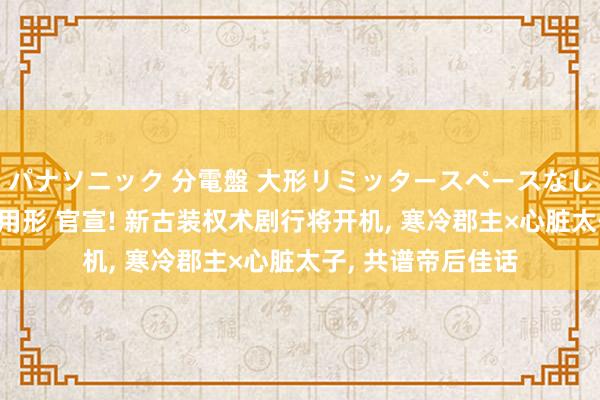 パナソニック 分電盤 大形リミッタースペースなし 露出・半埋込両用形 官宣! 新古装权术剧行将开机, 寒冷郡主×心脏太子, 共谱帝后佳话