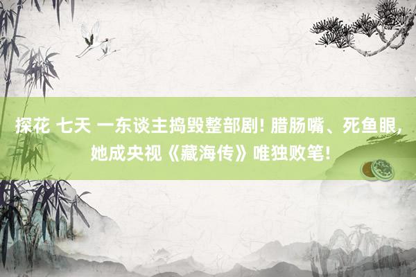 探花 七天 一东谈主捣毁整部剧! 腊肠嘴、死鱼眼, 她成央视《藏海传》唯独败笔!