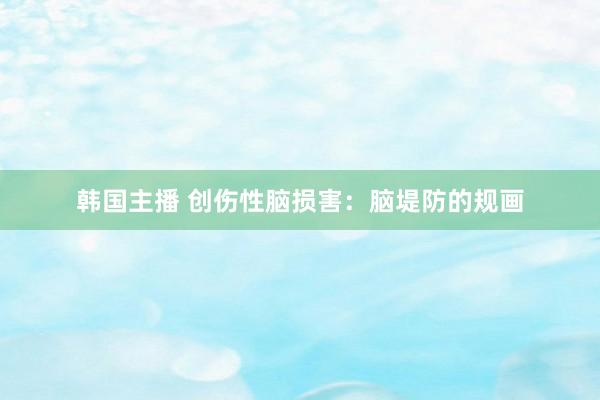 韩国主播 创伤性脑损害：脑堤防的规画