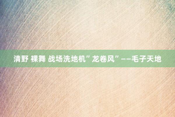 清野 裸舞 战场洗地机”龙卷风”——毛子天地